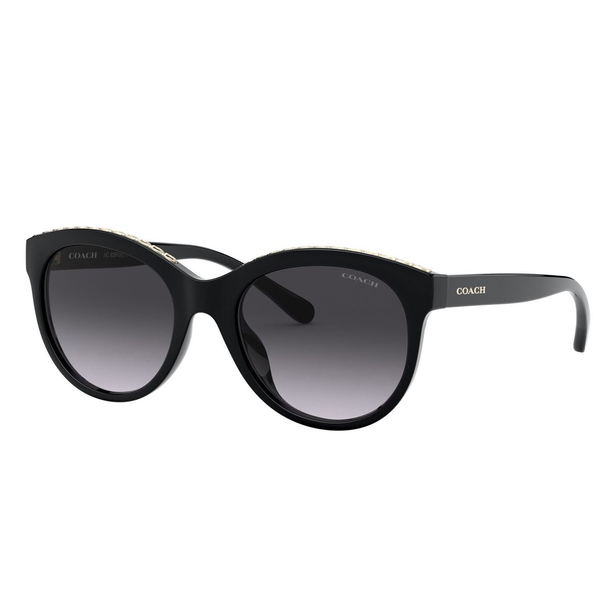 Lente Solar Panthos Negro 0HC8297U Coach