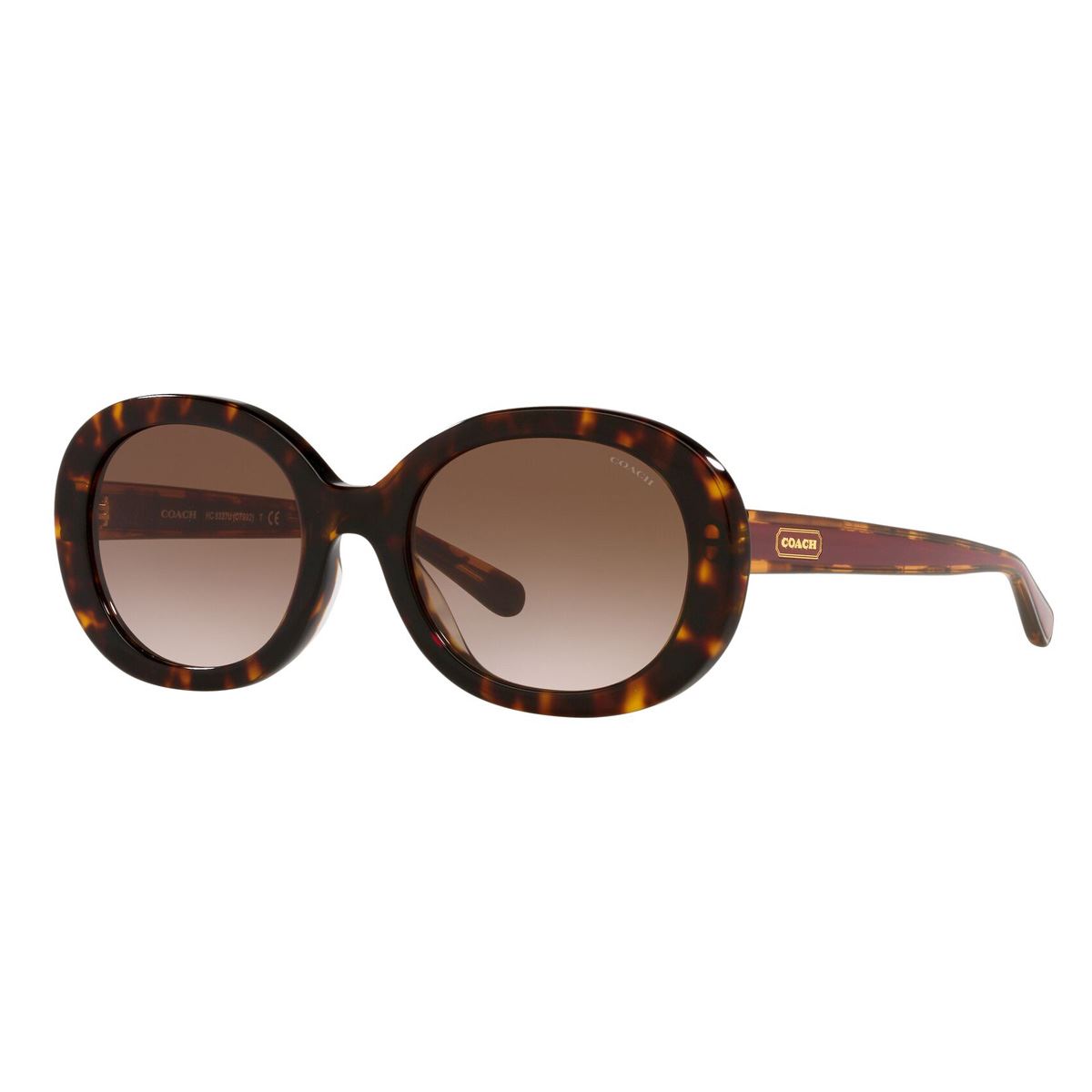 Lente solar Coach modelo 0HC8337U C7992 degradado color marrón en acetato color havana
