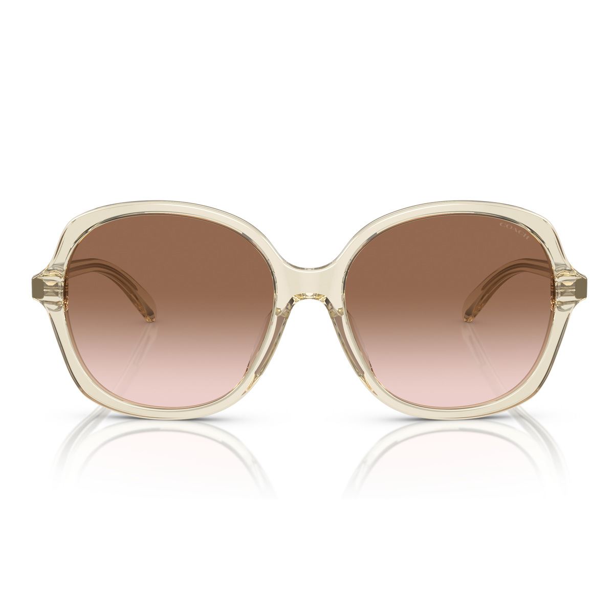 Lente Solar Coach degradado marrón para Mujer