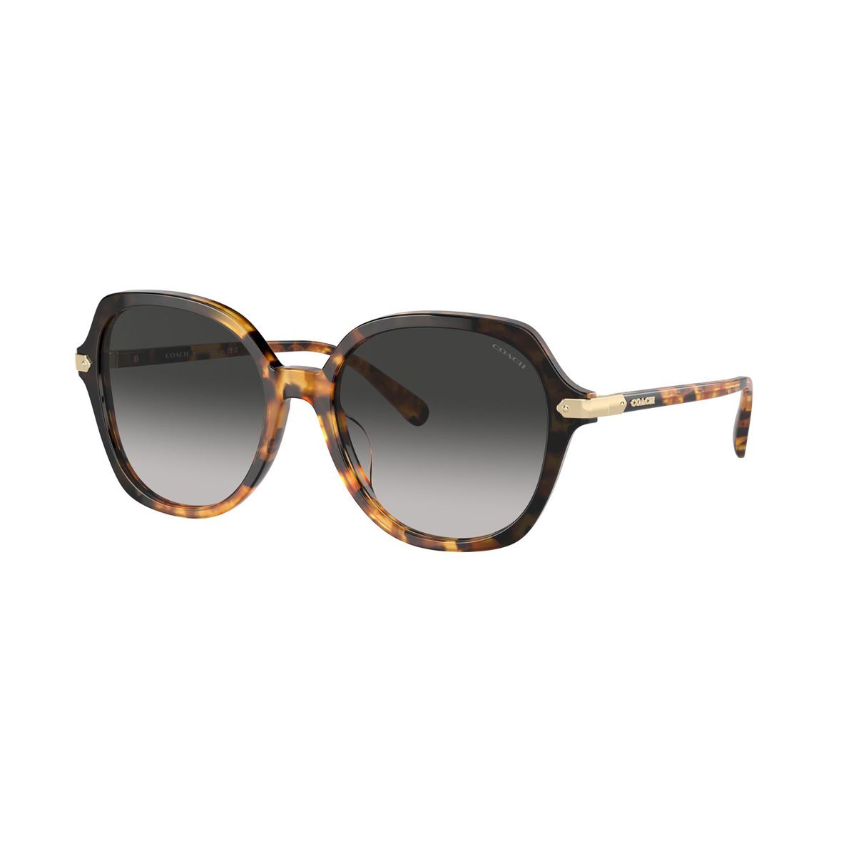 Lentes Solares Tortuga Miel Degradado Negro Coach