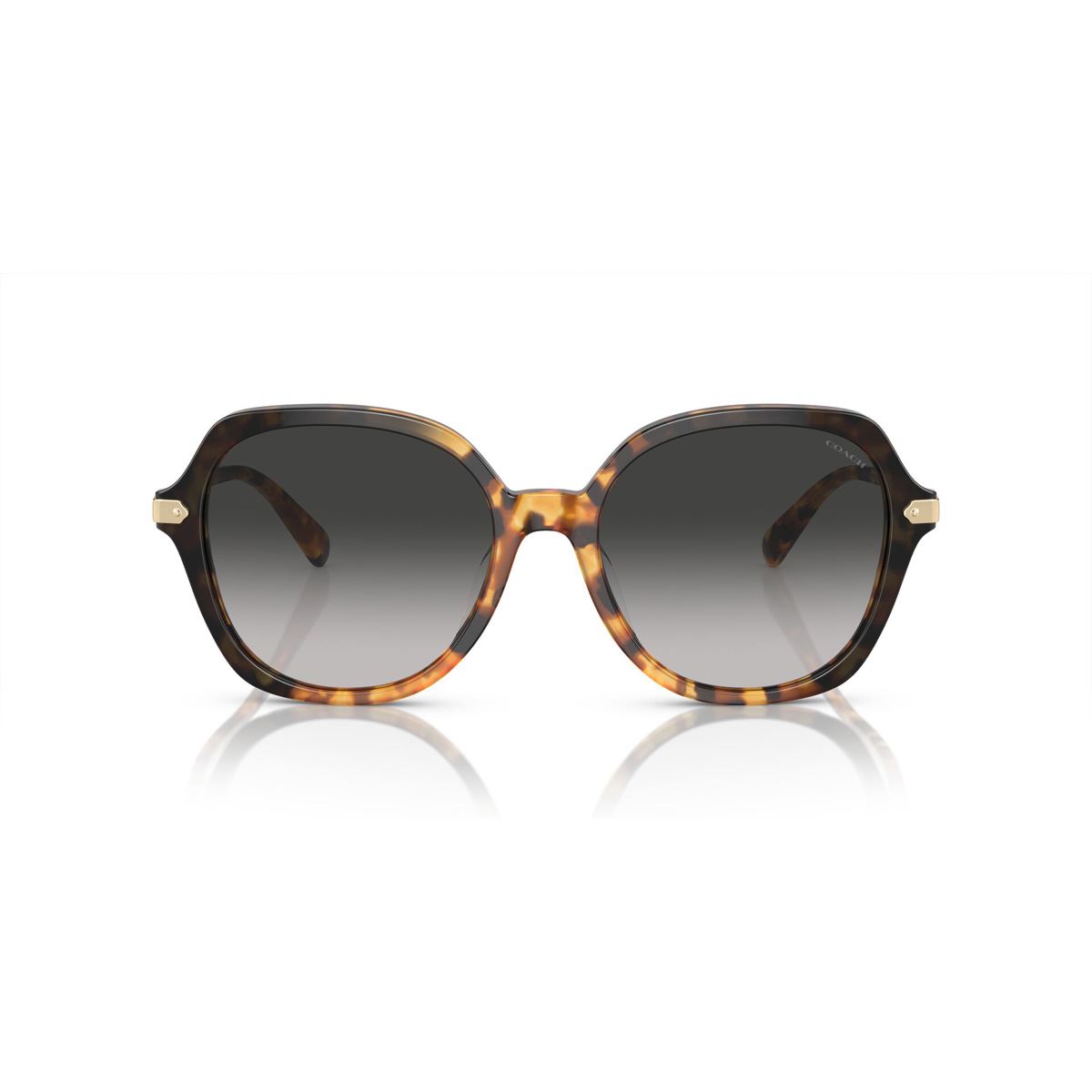 Lentes Solares Tortuga Miel Degradado Negro Coach