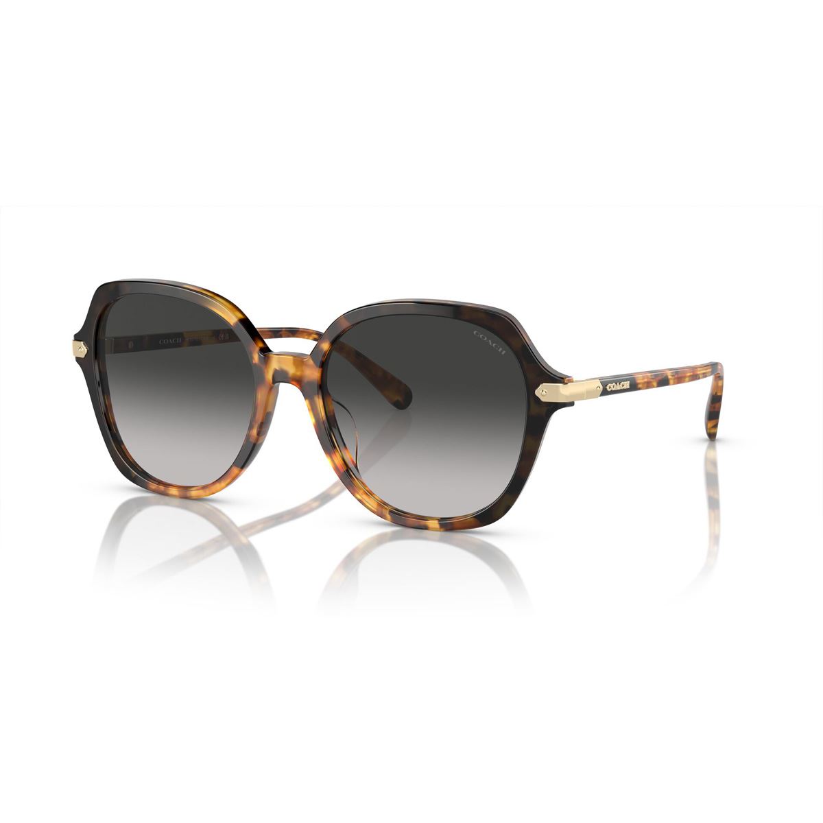 Lentes Solares Tortuga Miel Degradado Negro Coach
