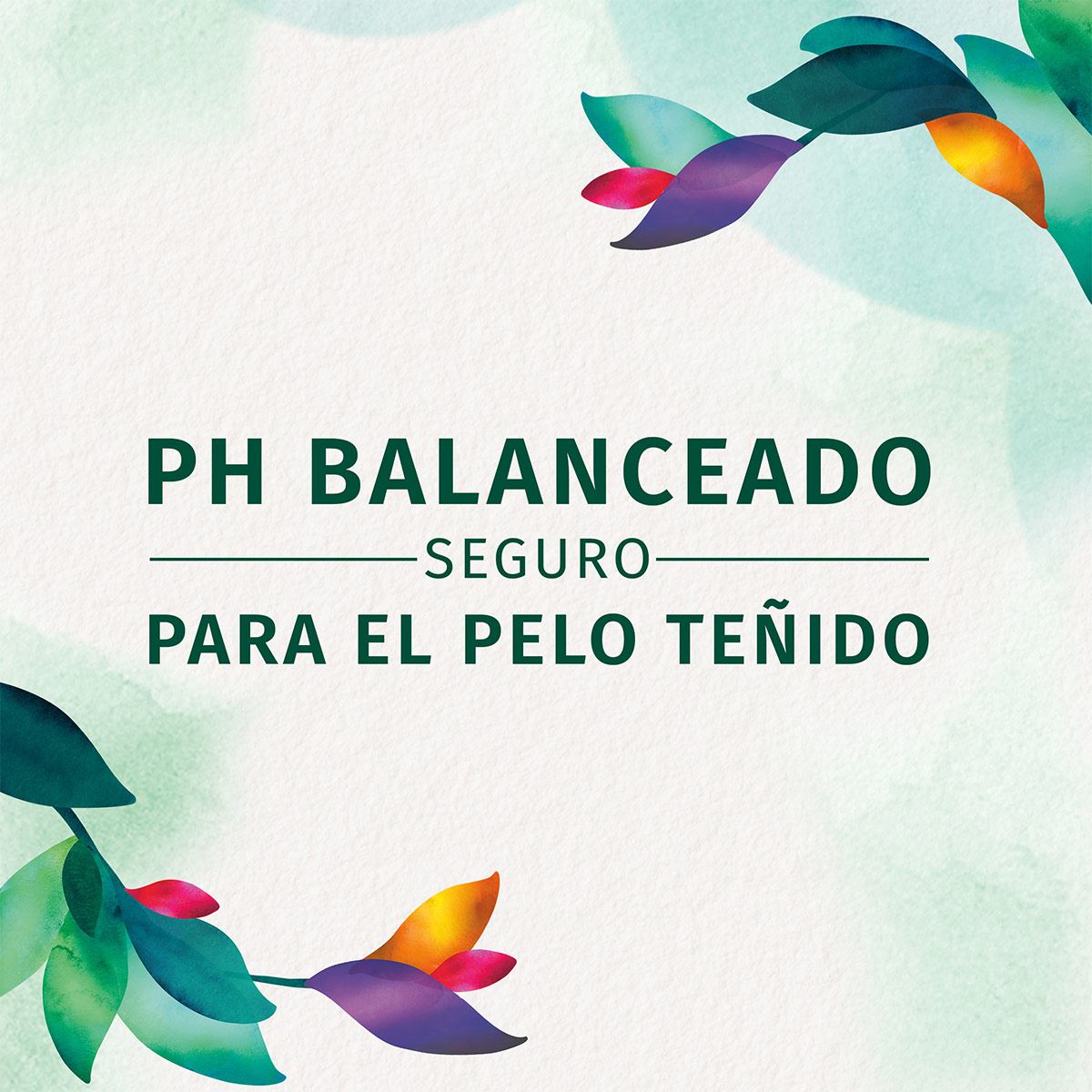Crema P/Peinar Curvas Peligrosas Herbal Essences  1