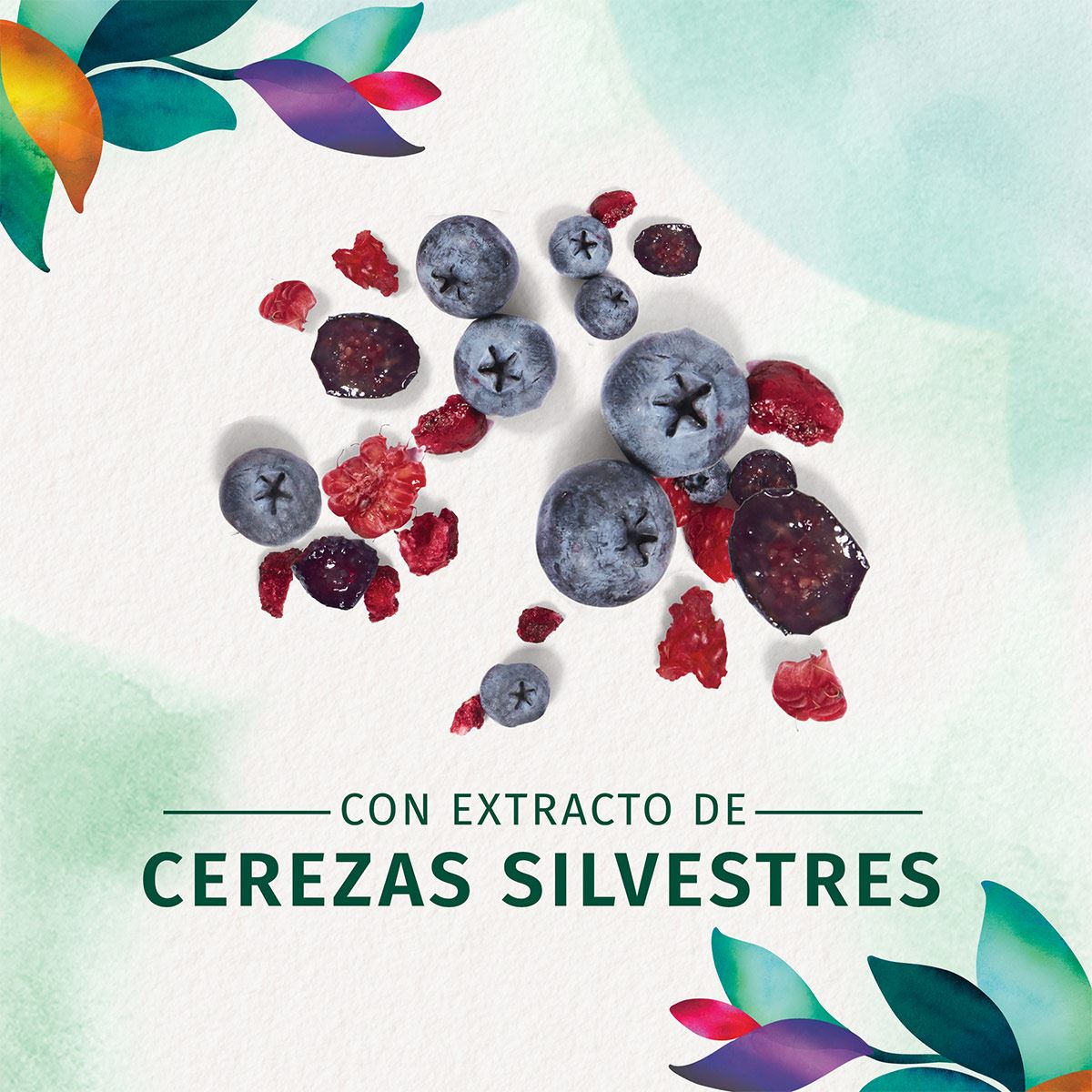 Crema P/Peinar Curvas Peligrosas Herbal Essences  1