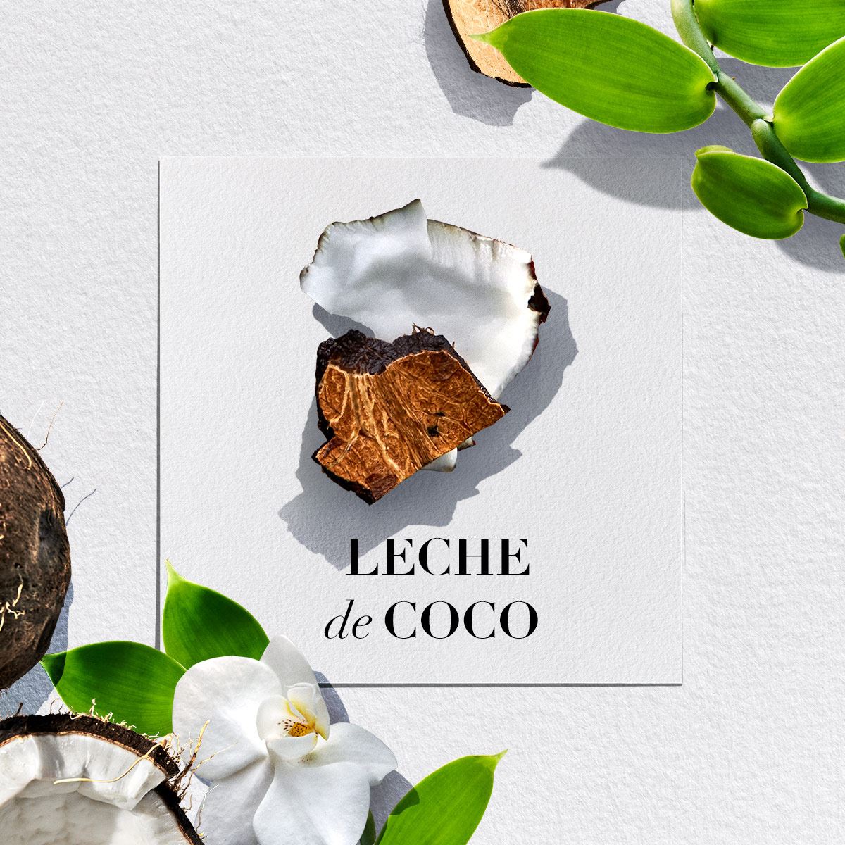 Crema P/Peinar Herbal Bio Renew Cc Coconut Oil 300