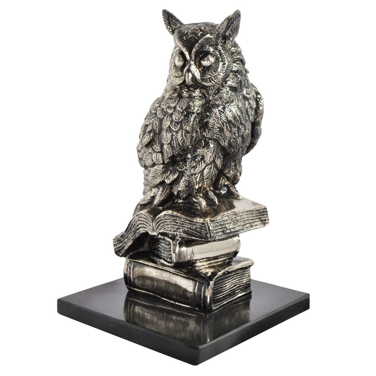 Búho en libros grande