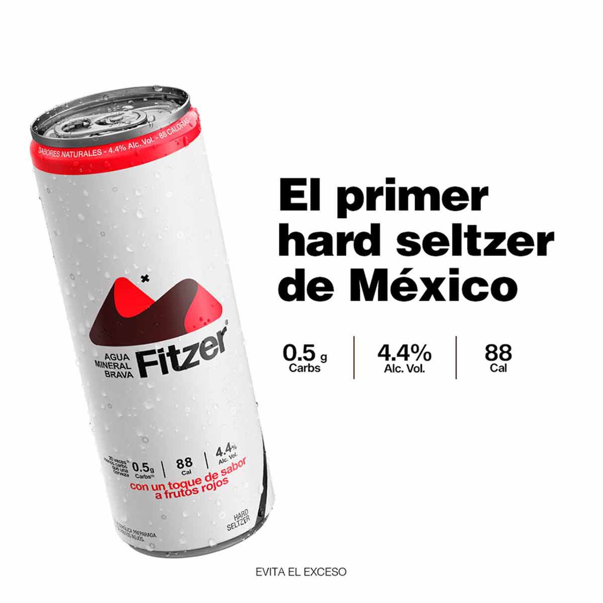 Hard Seltzer Fitzer Frutos Rojos