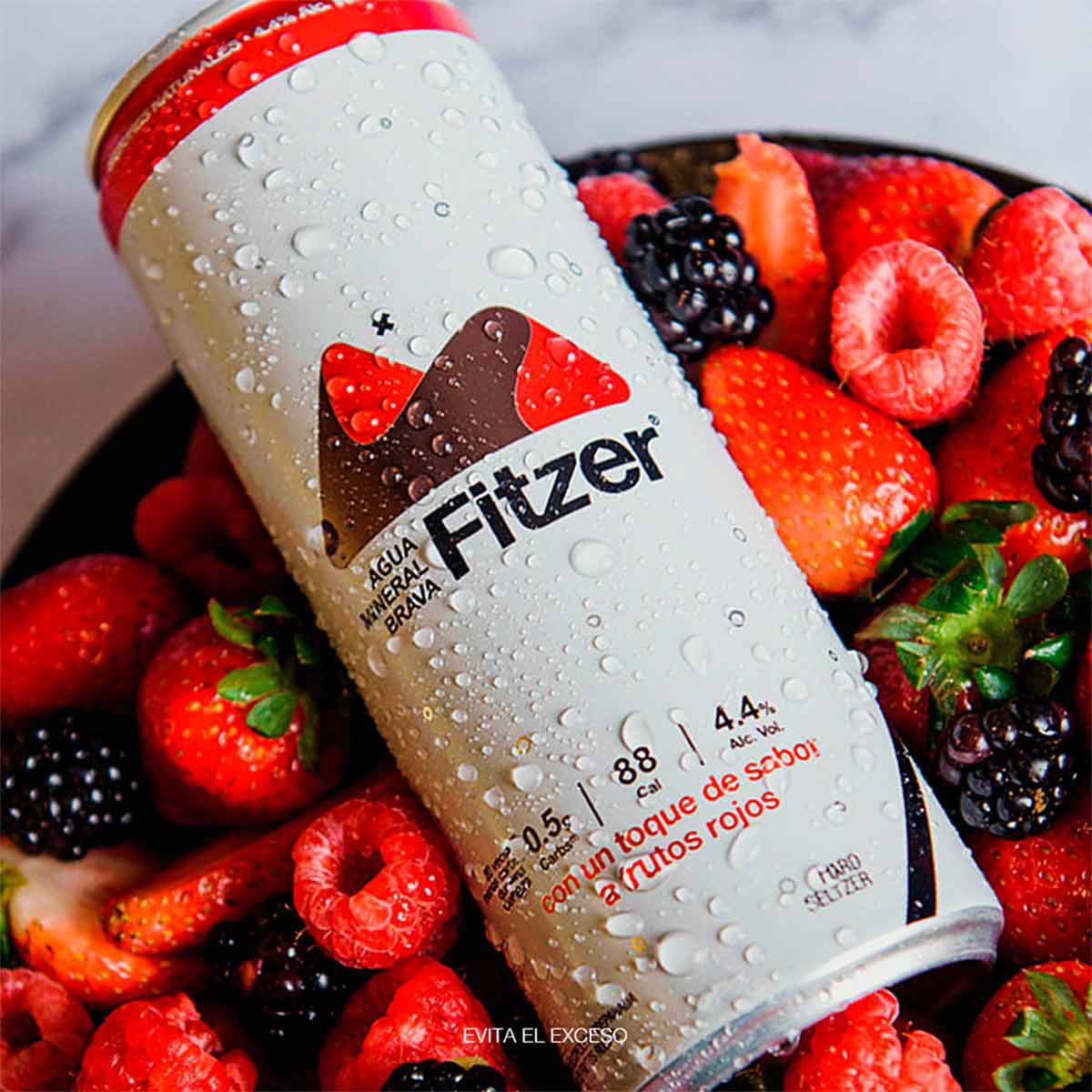 Hard Seltzer Fitzer Frutos Rojos