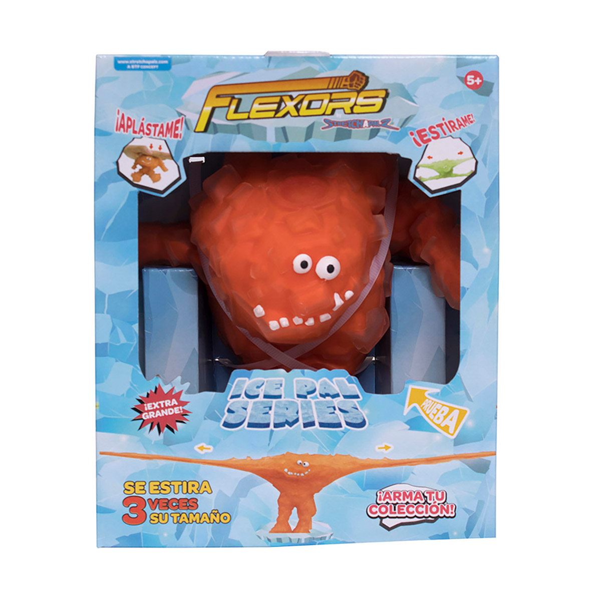 Figuras Asst Flexors G