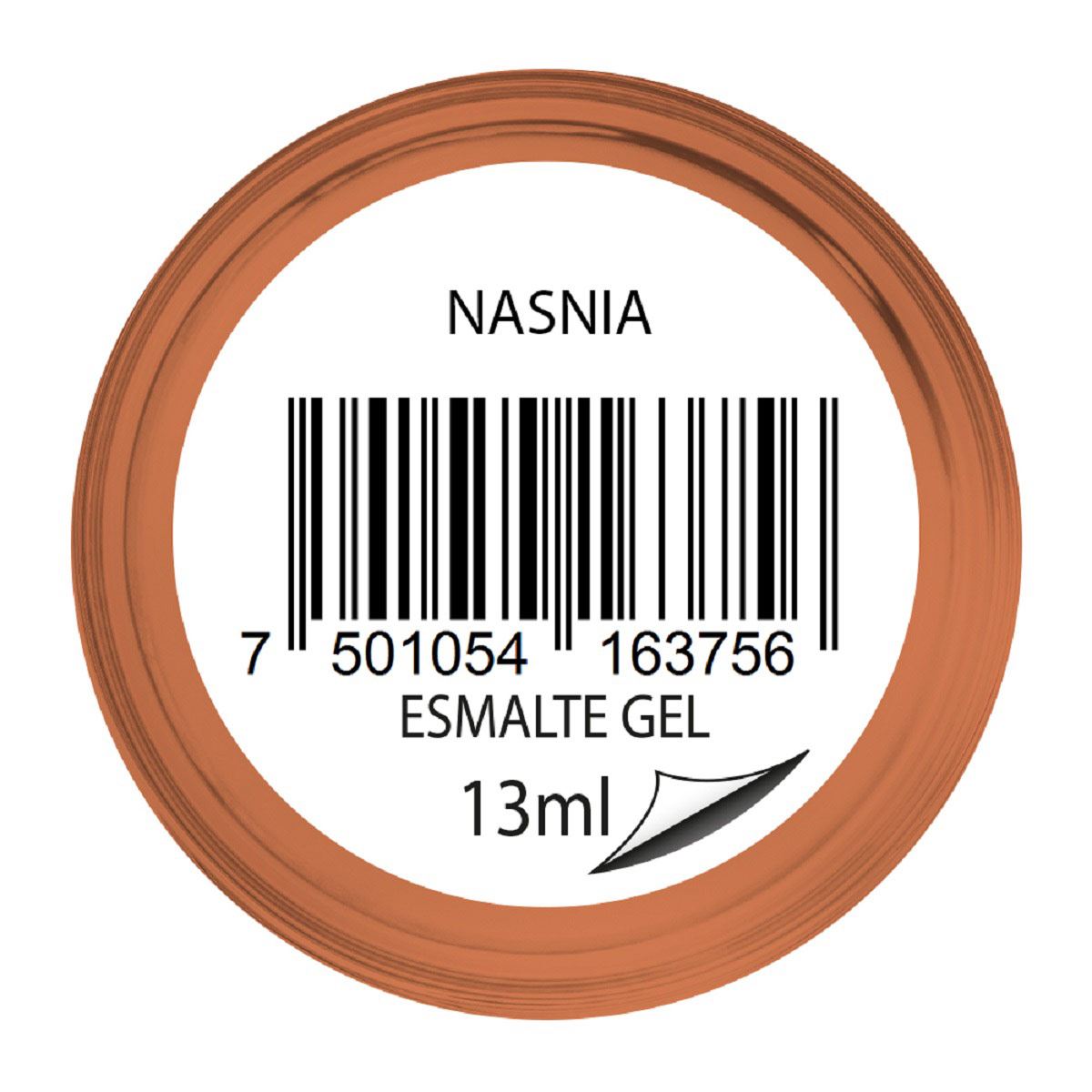 Esmalte Color Gel Nasnia Renova