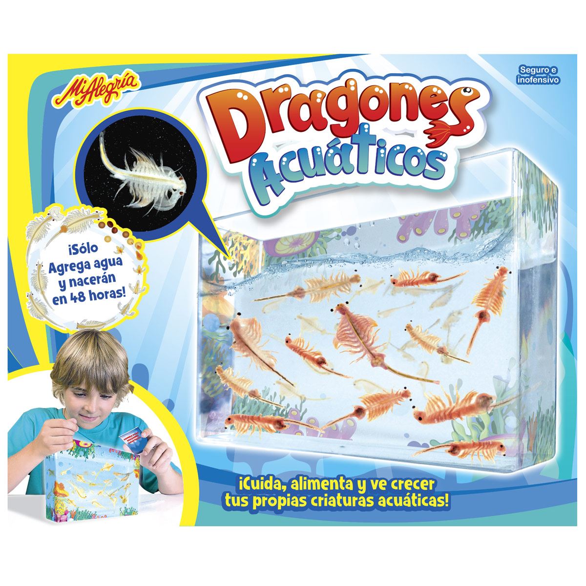 Dragones Acuáticos # 2111 Mi Alegría