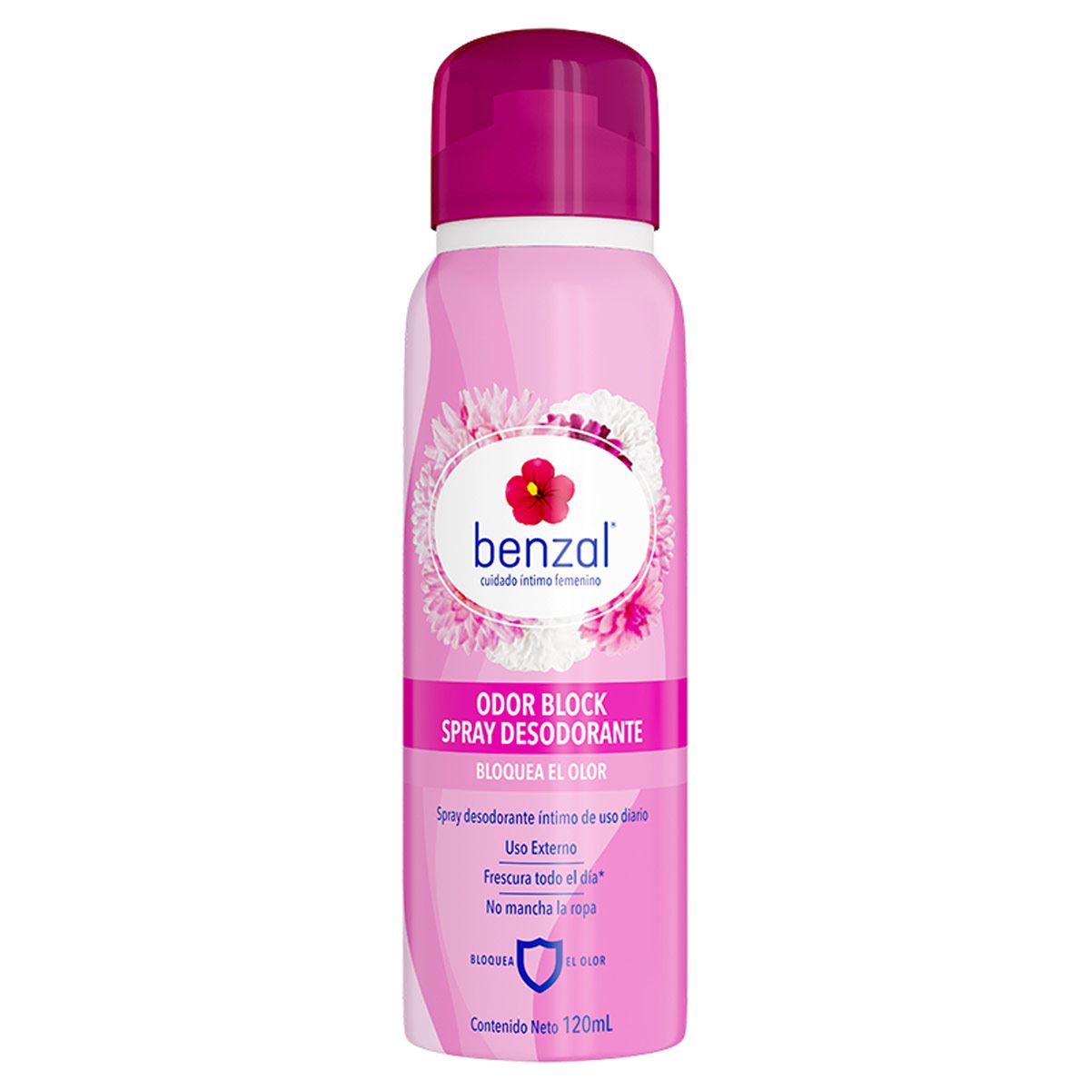 Benzal Spray Odor Block 120 ml