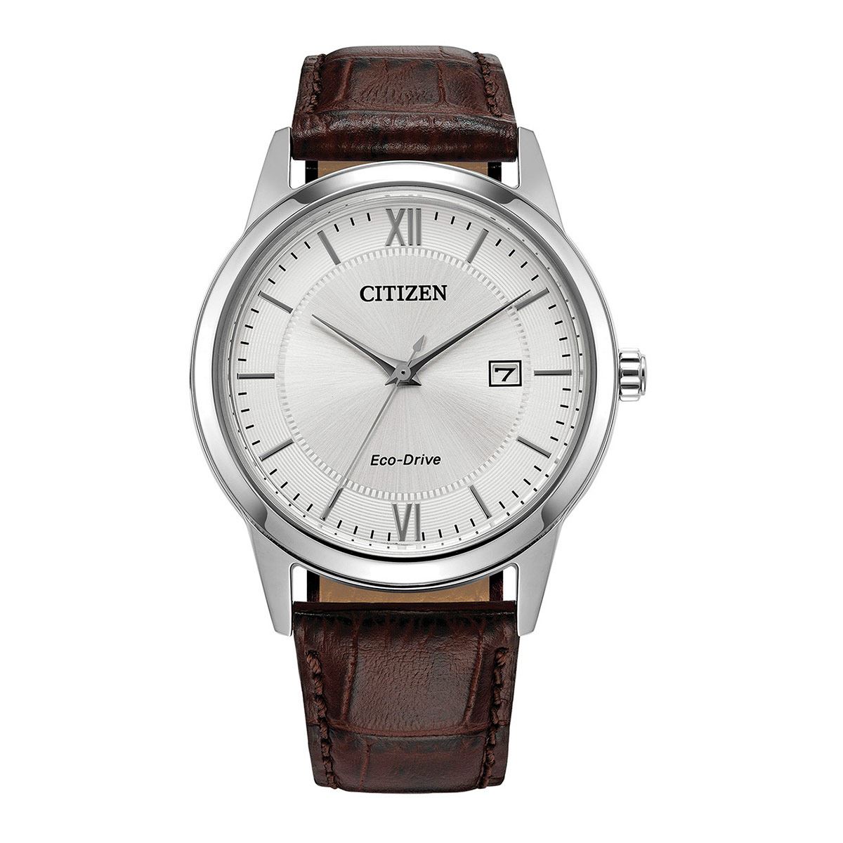 Reloj Citizen Classic Eco Drive 61665 caballero