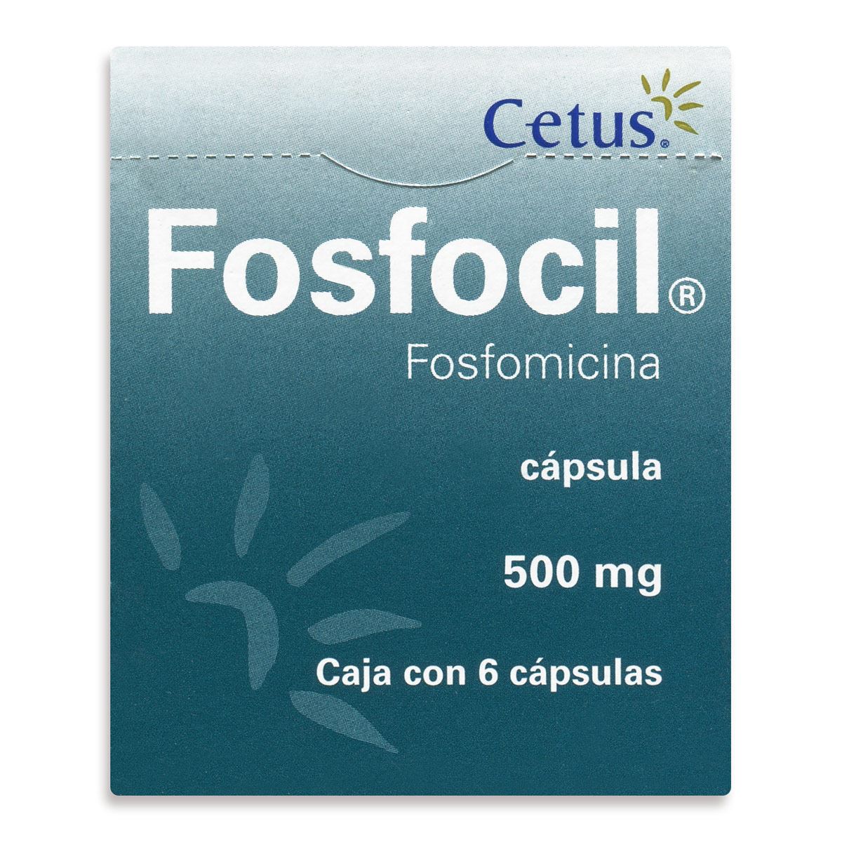 Fosfocil 500mg.Cap.C/6