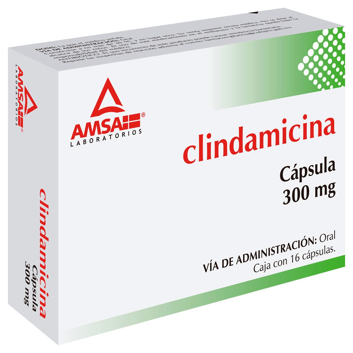 Am Clindamicina 300mg C/16cap Nva Imagen