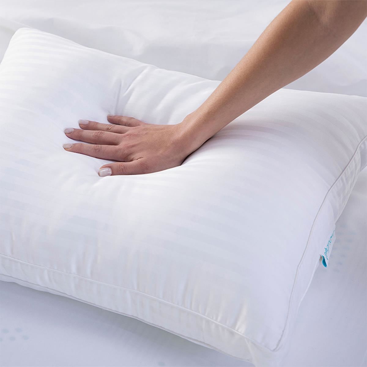 Sognare Collezione Std Firme Almohada