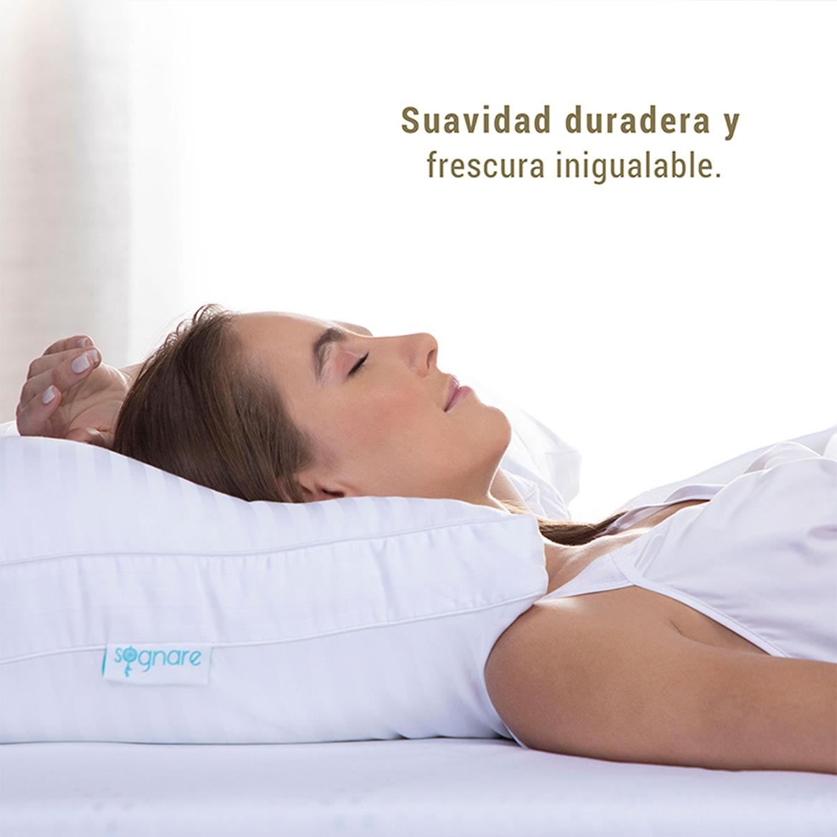 Sognare Collezione Std Firme Almohada