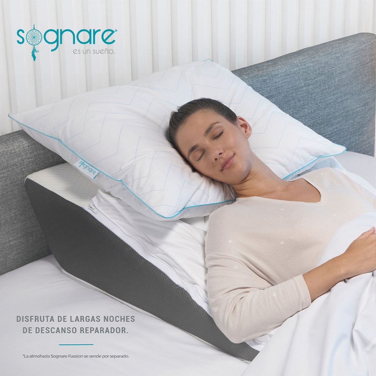 Sanborns 2025 almohada sognare