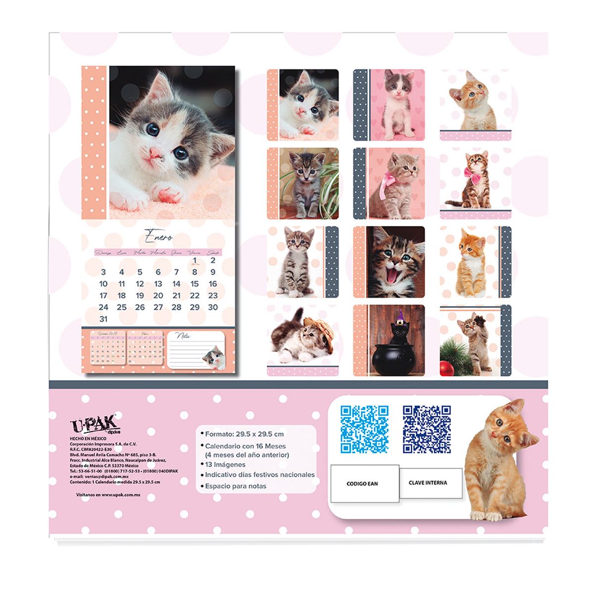 Lista 99+ Foto Calendario De Gatos 2021 Para Imprimir Actualizar 10/2023
