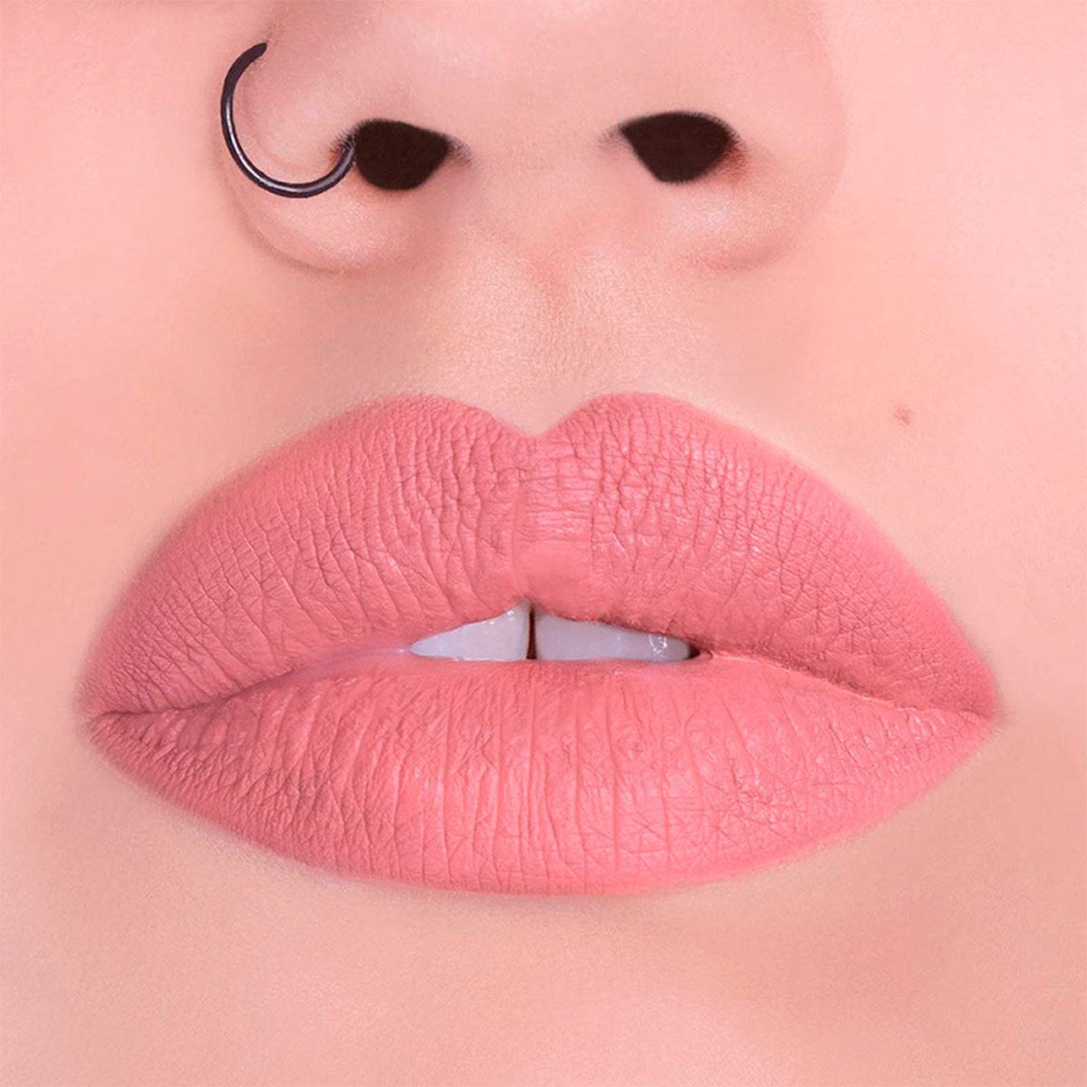 Labial Pink Up Ultimate Rose