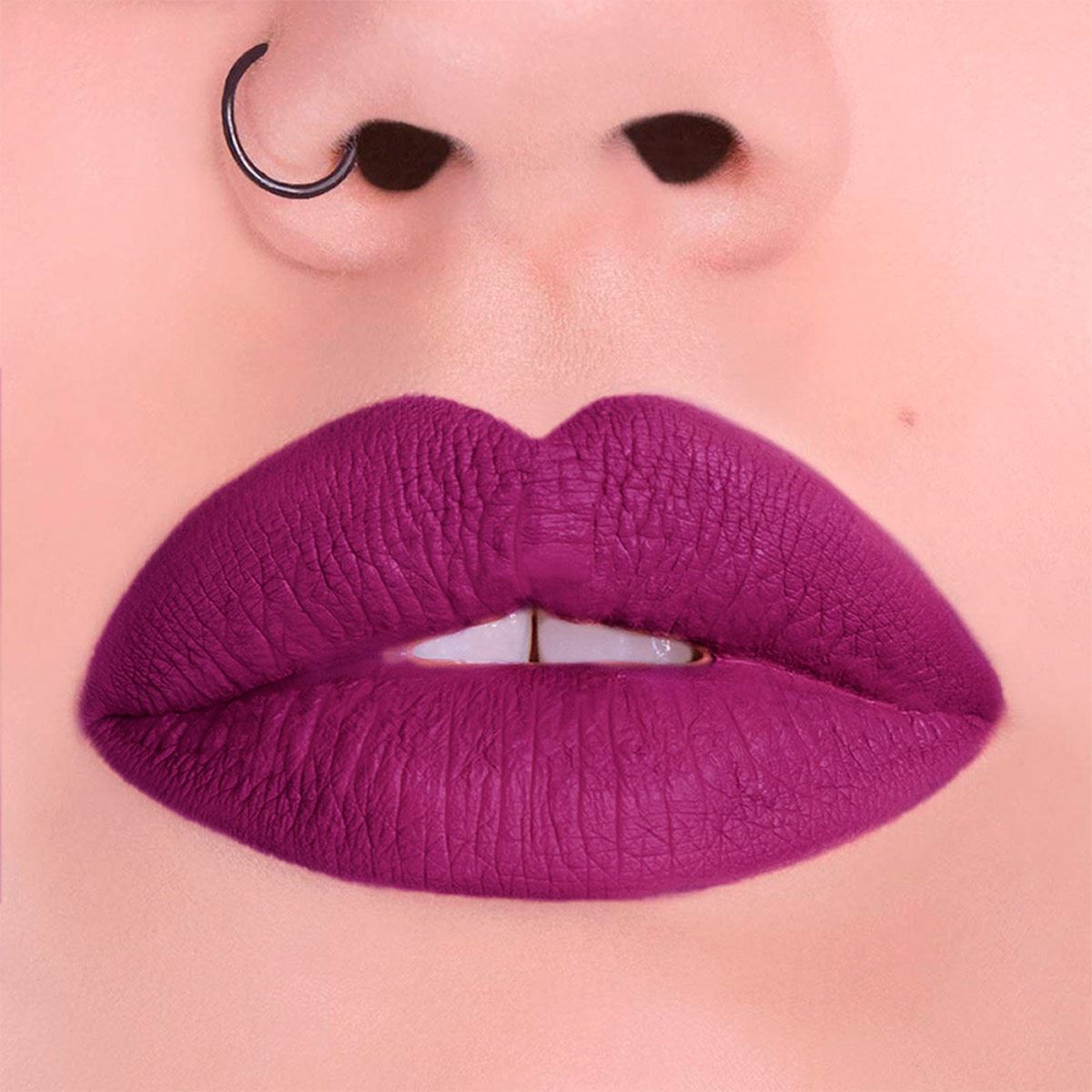 Labial Pink Up Ultimate Plum