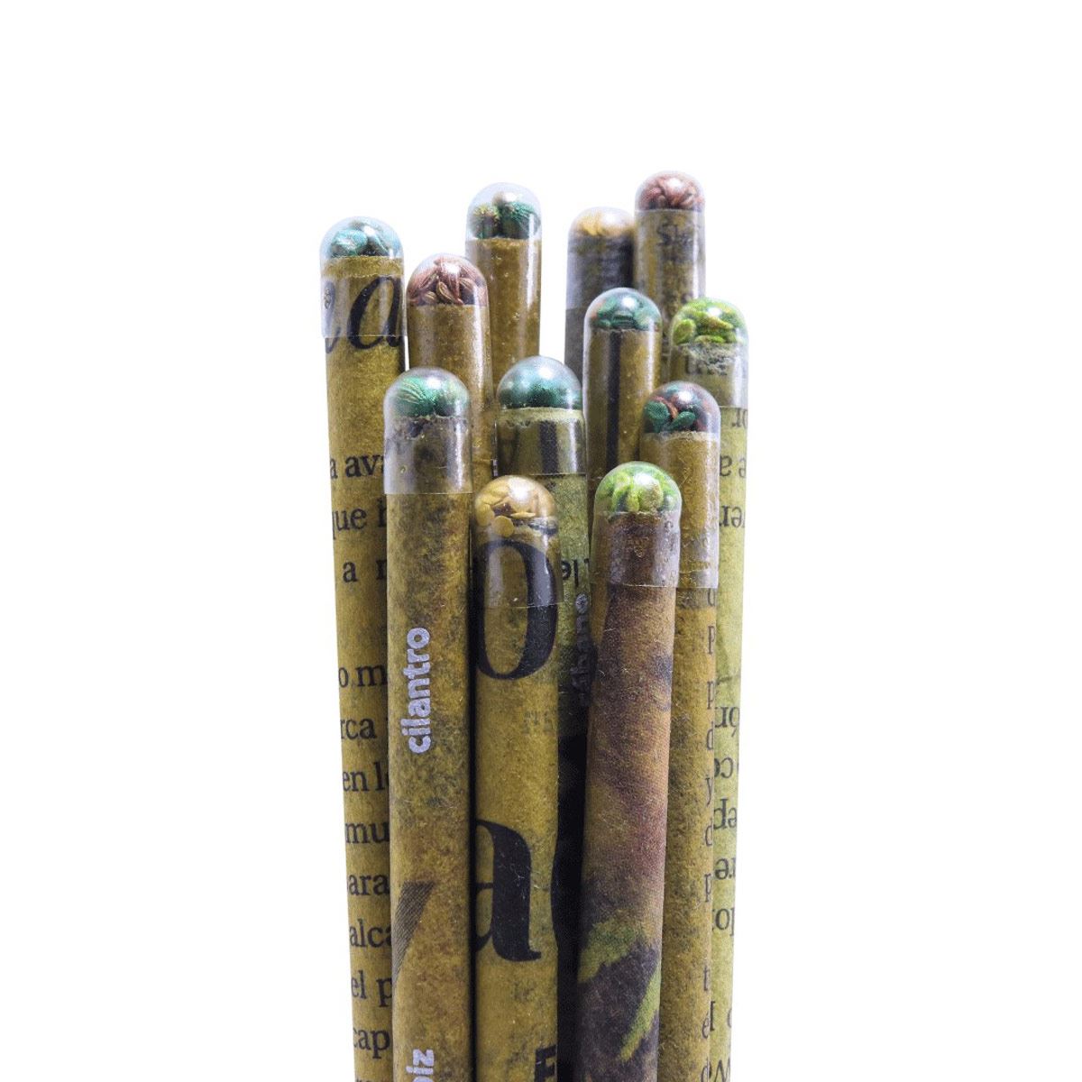 Lápiz sustentable de papel periódico con Semillas Fiore