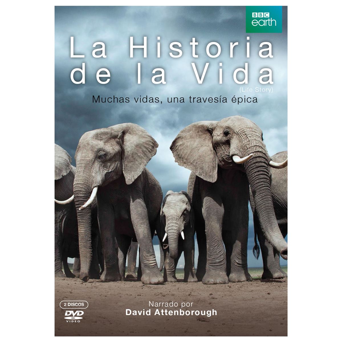 DVD La Historia de la Vida
