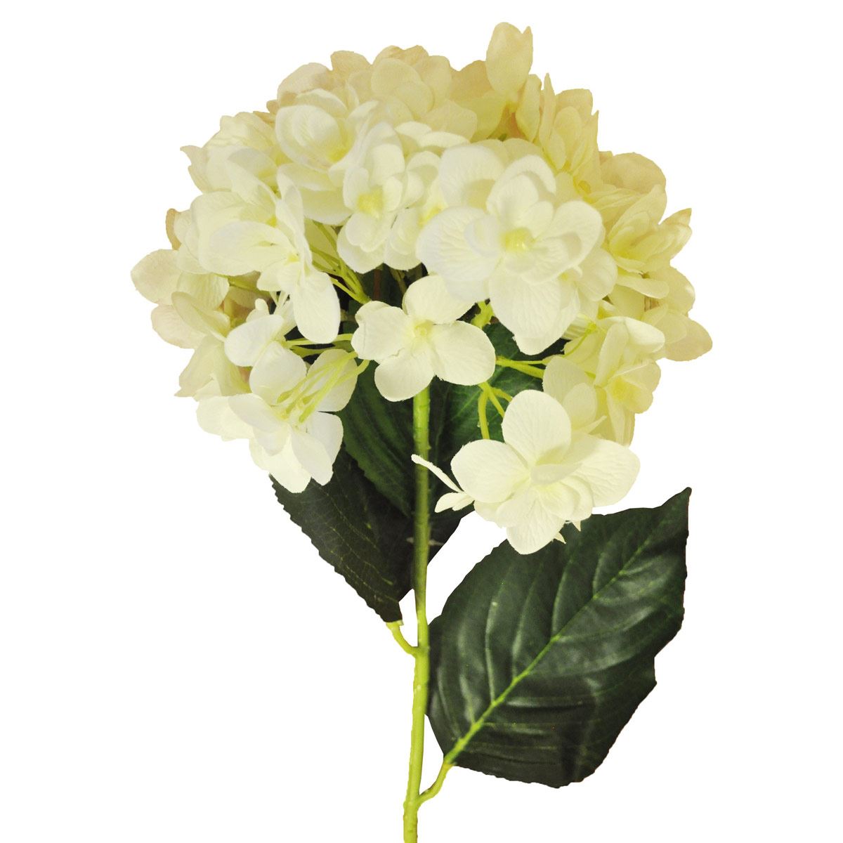 Hortensia Art Home blanca