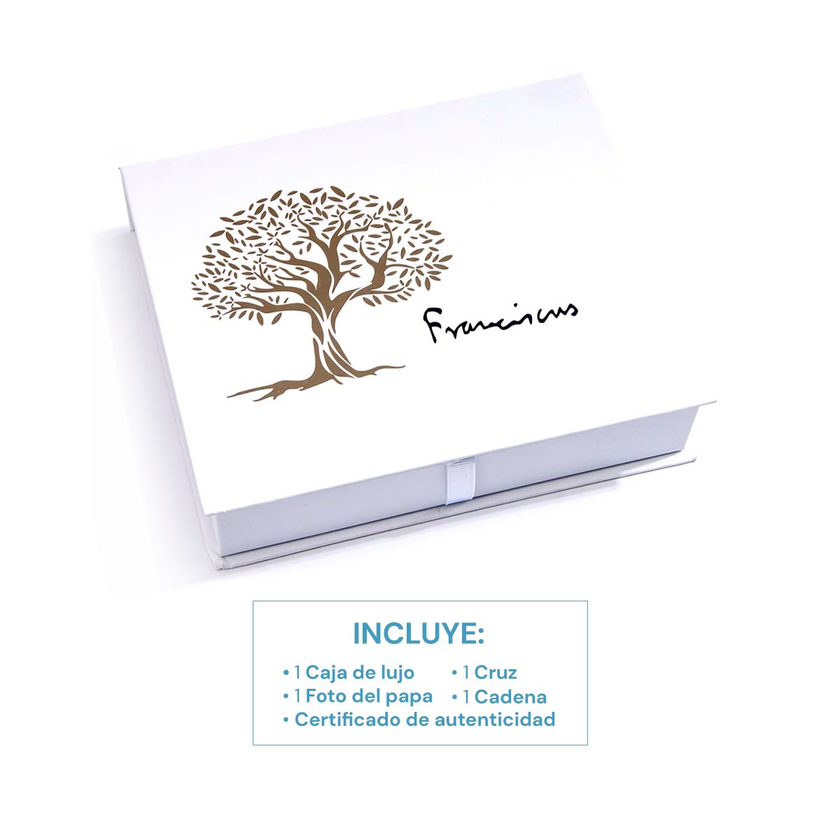 Cruz Grande del Buen Pastor Baño de Platino 18K