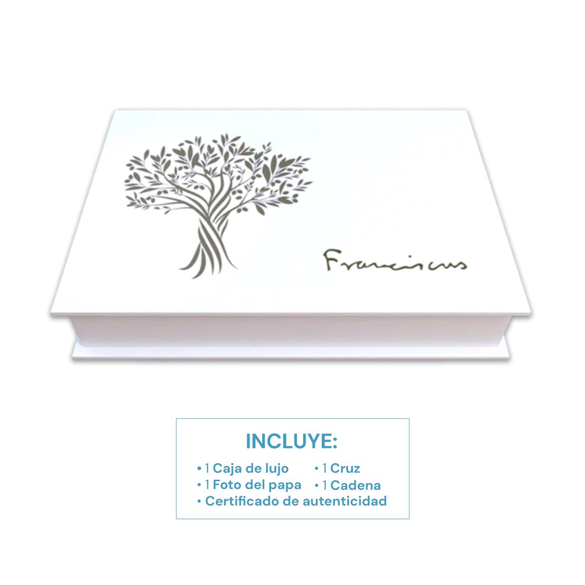 Cruz Mediana del Buen Pastor Baño de Platino 18K