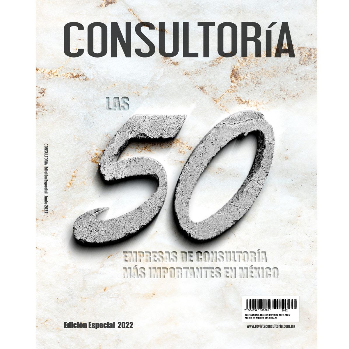 Revista consultoría 13