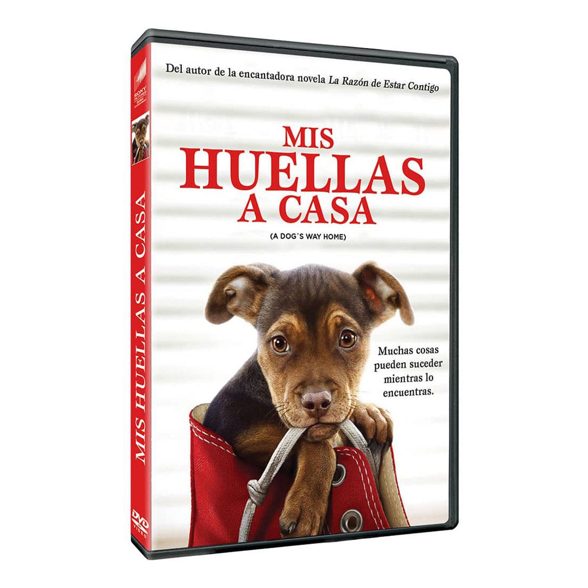 Dvd Mis Huellas A Casa