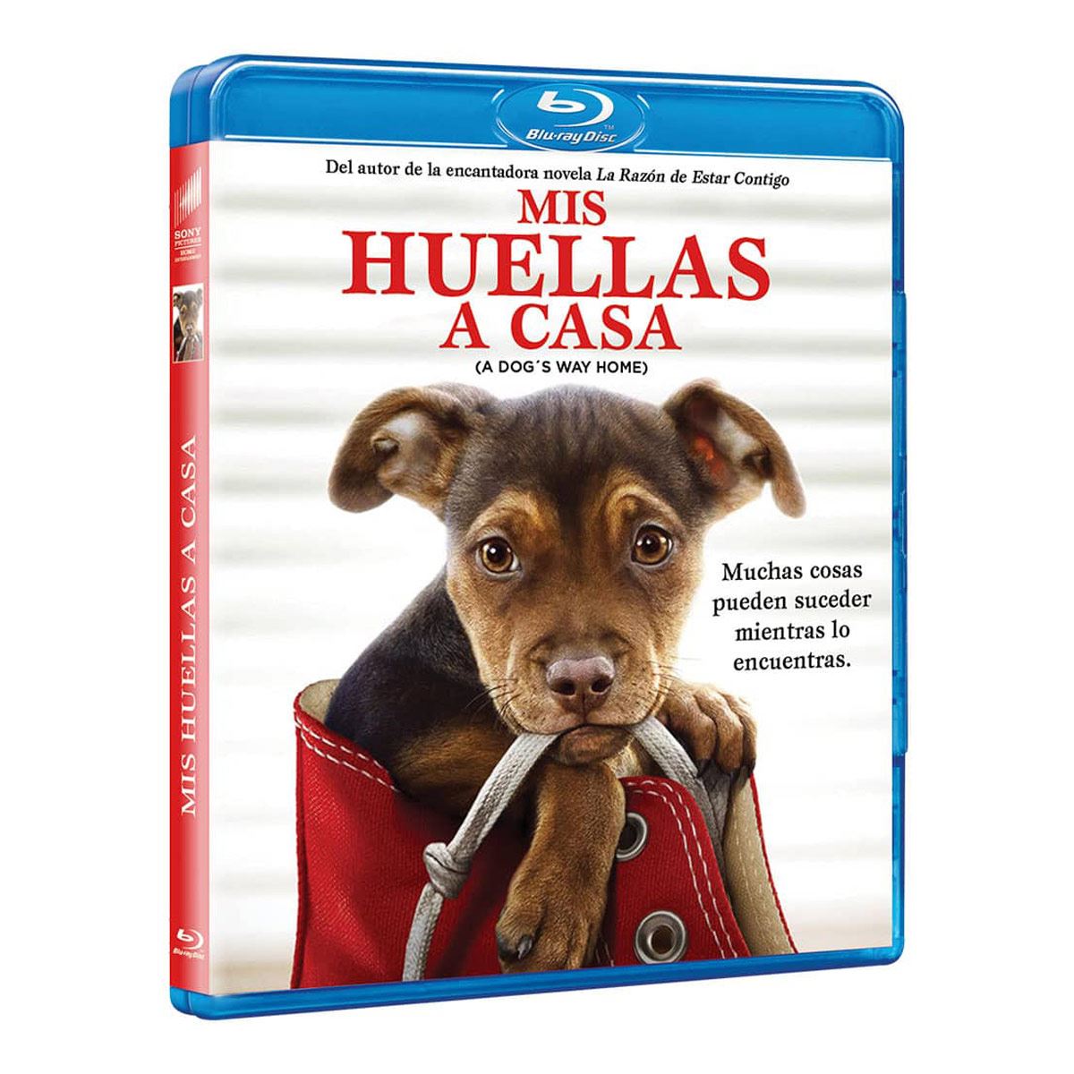 Br Mis Huellas A Casa