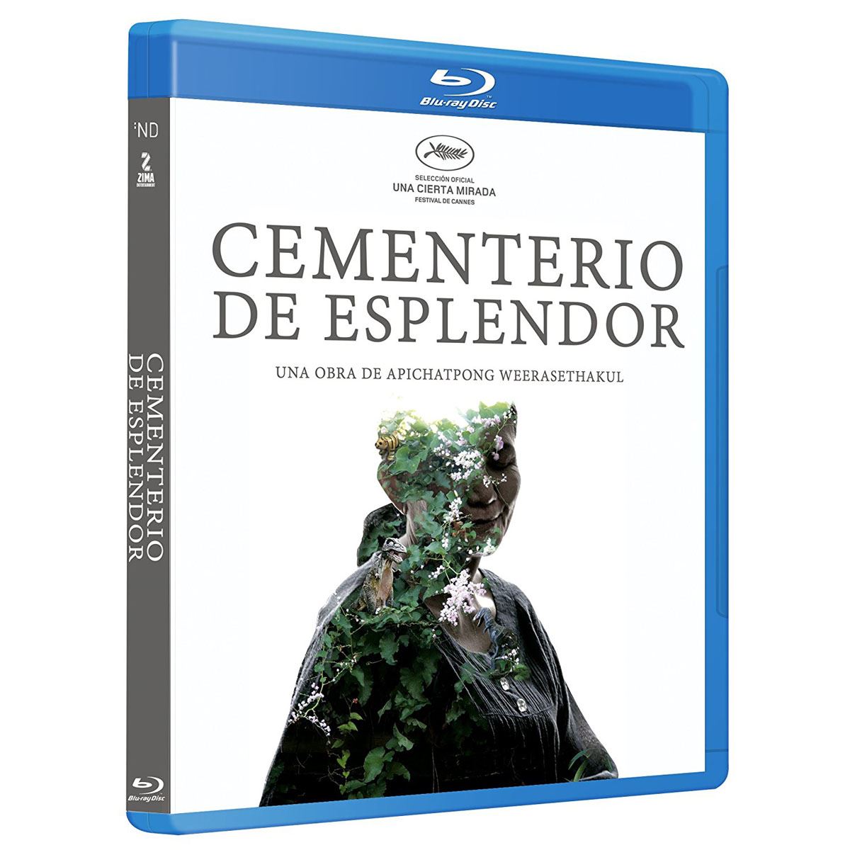 Br Cementerio De Esplendor