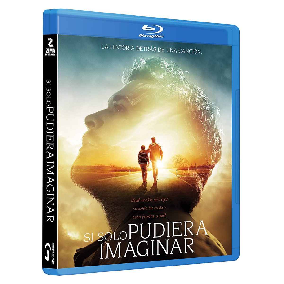 BR Si Solo Pudiera Imaginar