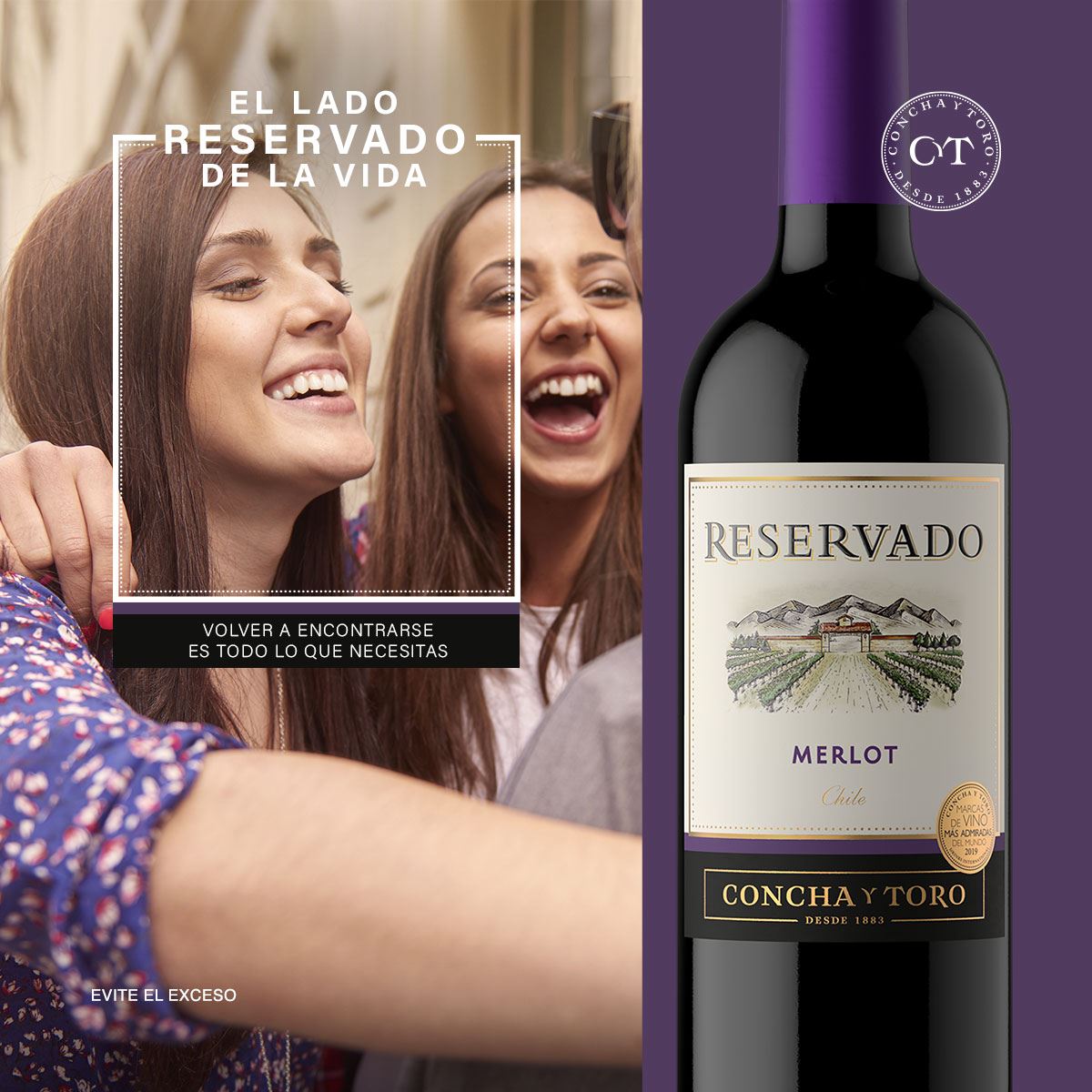Vino Tinto Reservado Merlot750ml