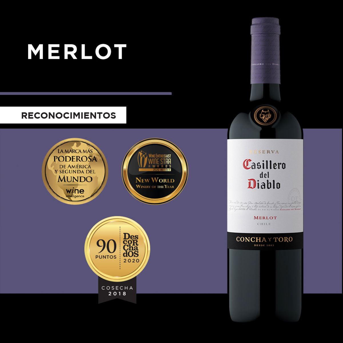 Vino Tinto Casillero del Diablo Reserva Merlot 750ml