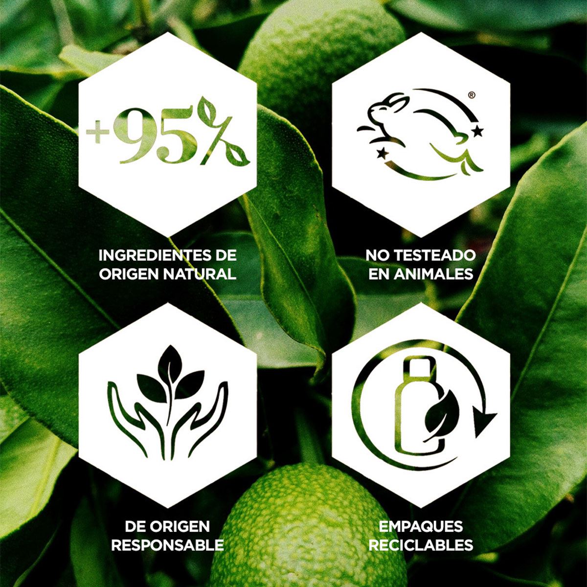 Kit Essentials Burt’s Bees 5 piezas