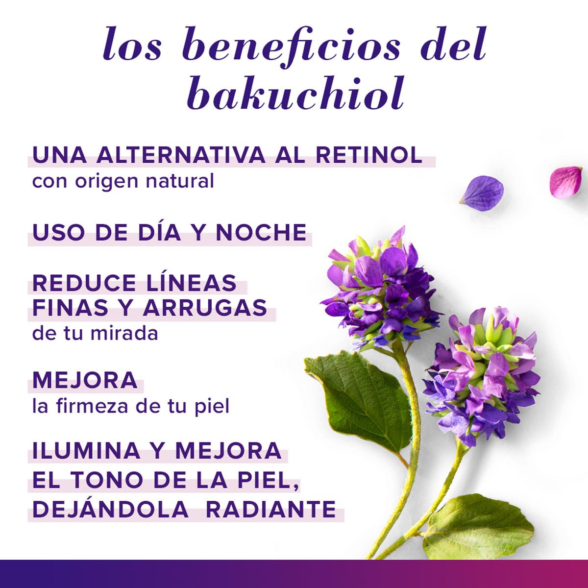 Suero Intenso Reafirmante Burt's Bees Renewal 32,5ml