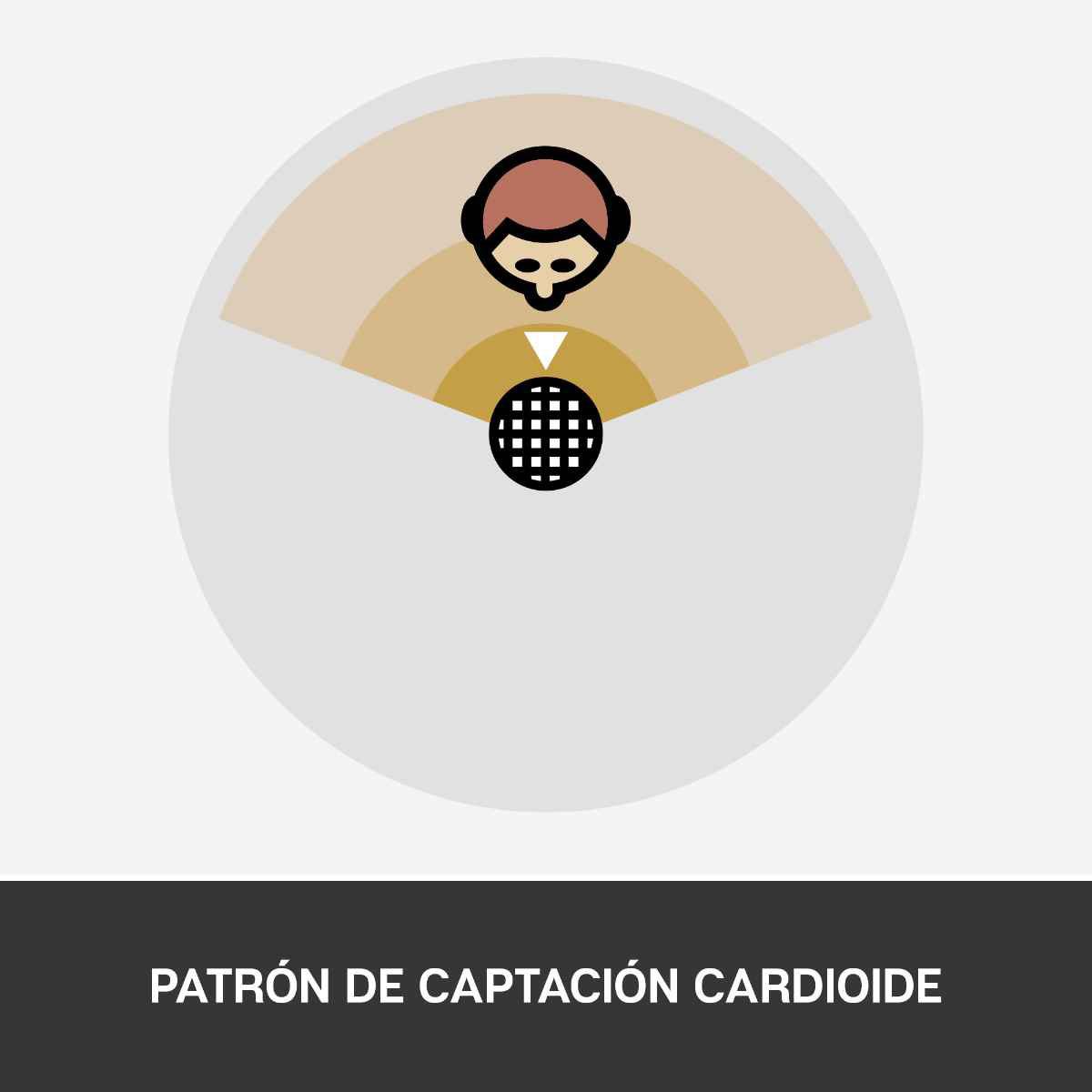 Micrófono Blue Snowball Ice negro