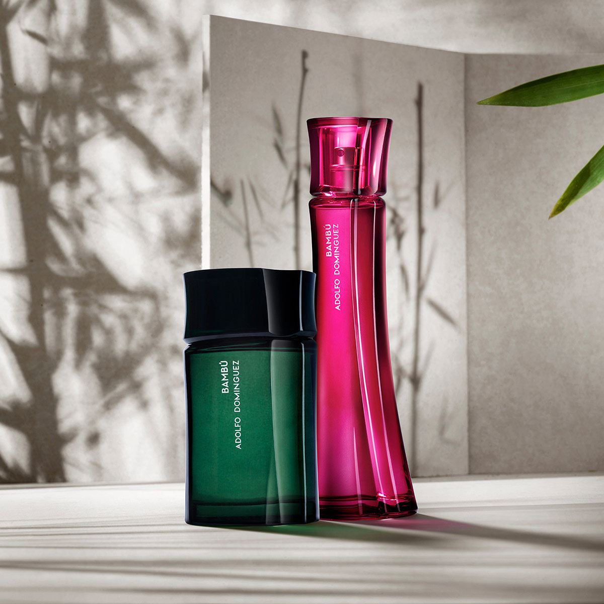 Adolfo Domínguez Bambú Set Para Caballero Perfume EDT 120ML + Perfume Bambú EDT 60ML