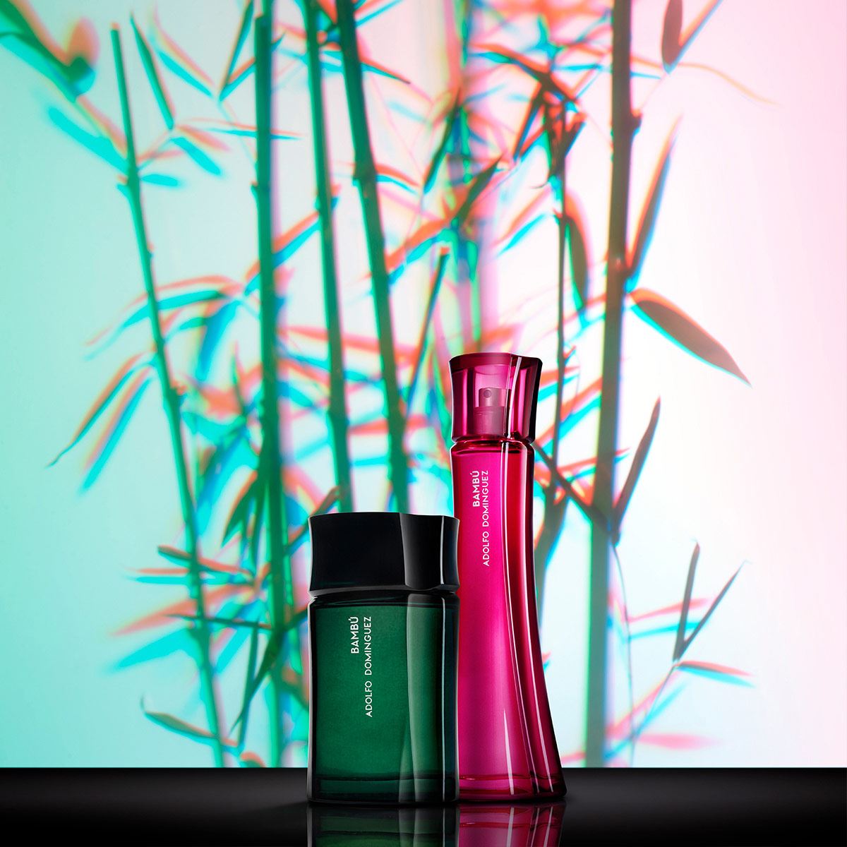 Adolfo Domínguez Bambú Set Para Caballero Perfume EDT 120ML + Perfume Bambú EDT 60ML