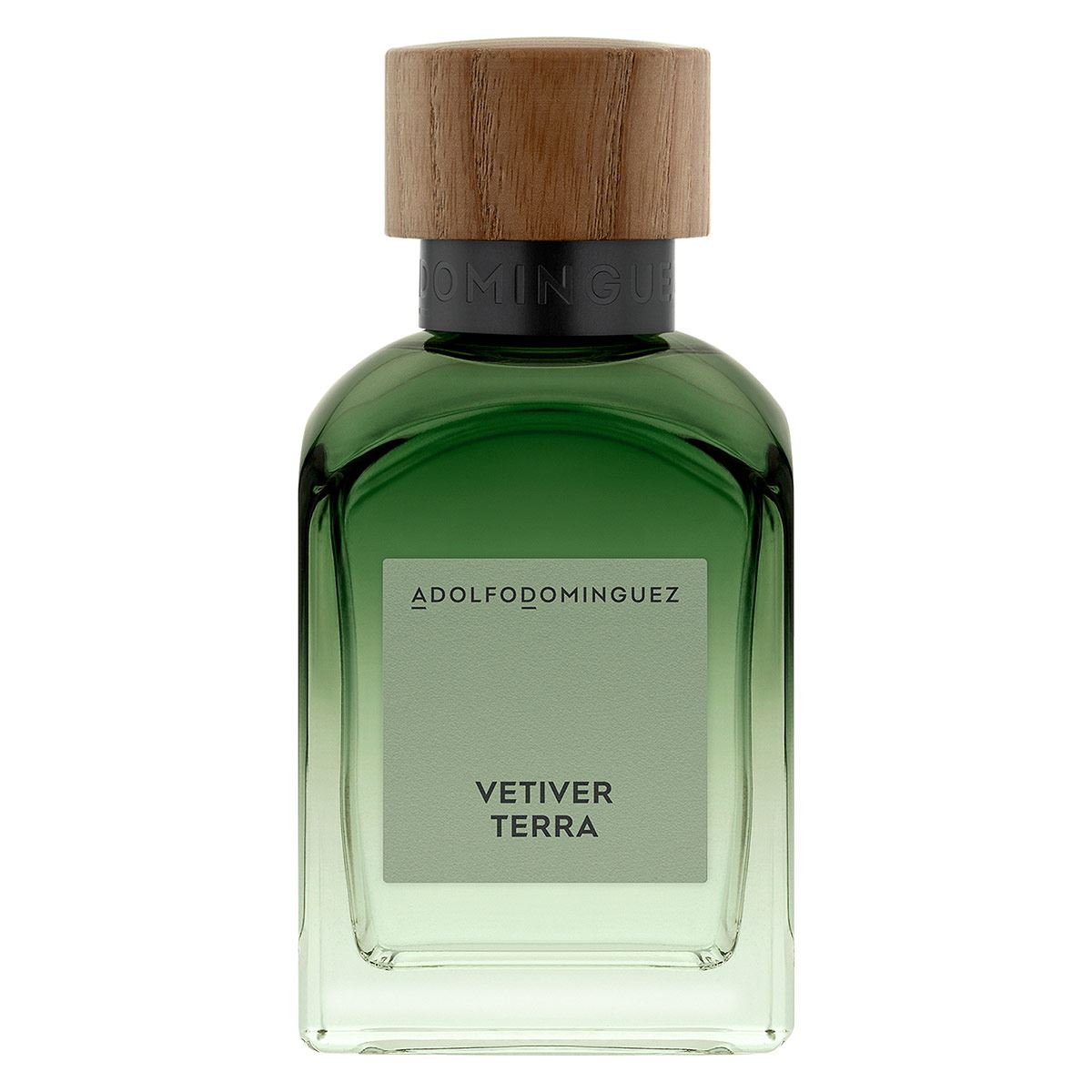 Adolfo Dominguez Vetiver Terra EDT 120ml Perfume para Caballero