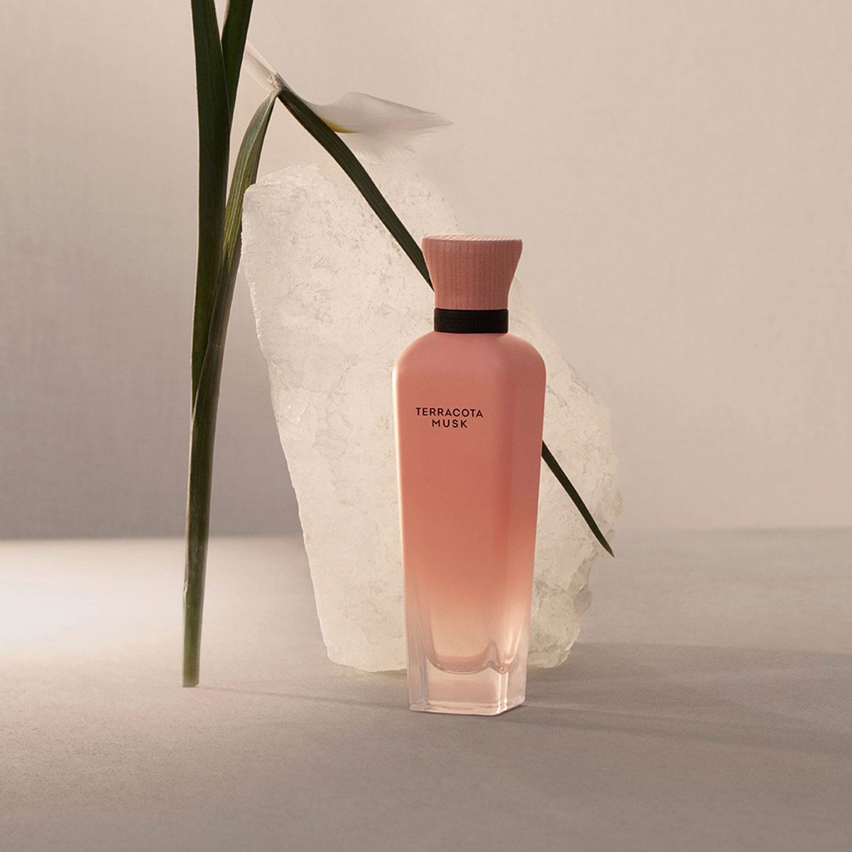 Adolfo Dominguez Terracota Musk EDP 120ml perfume para dama