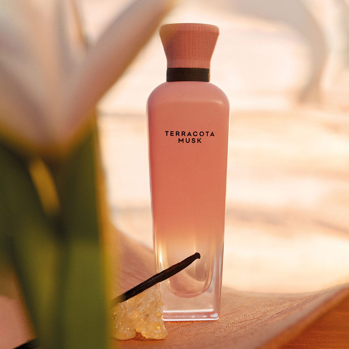 Adolfo Dominguez Terracota Musk EDP 120ml perfume para dama