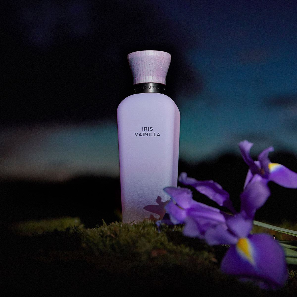 Adolfo Dominguez Iris Vainilla Set para Dama Eau de Parfum 120ml + Body Lotion 75ml