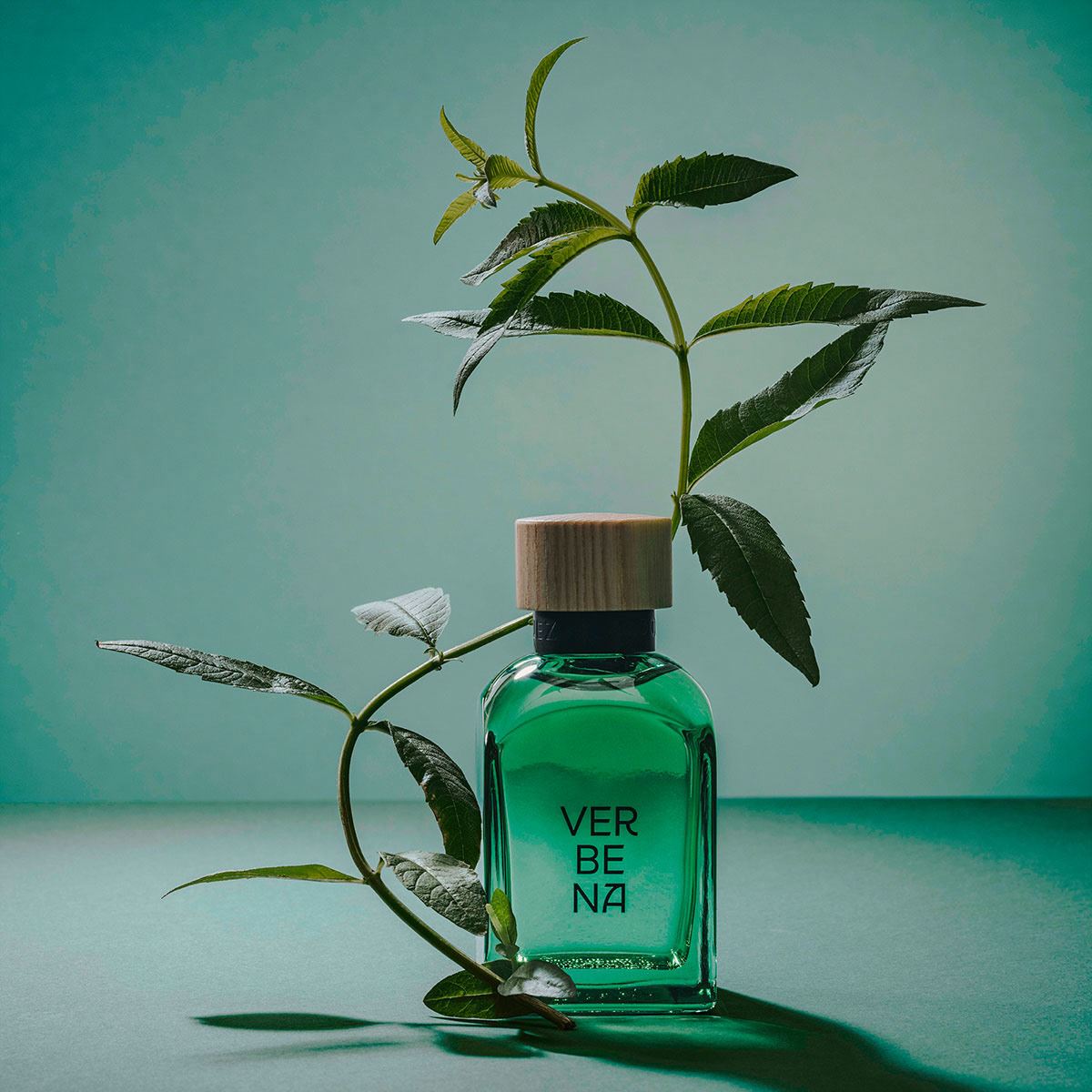 Perfume para Hombre Adolfo Dominguez Agua Fresca de Verbena Eau de Toilette 120 ml