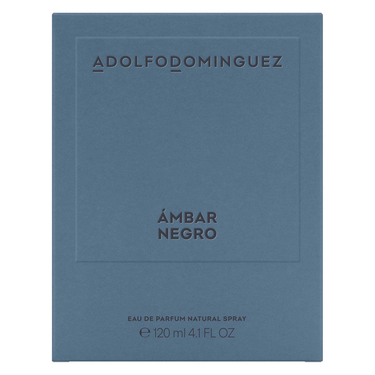 Adolfo dominguez Ambar Negro Eau de Parfume 120ml Perfume para Caballero