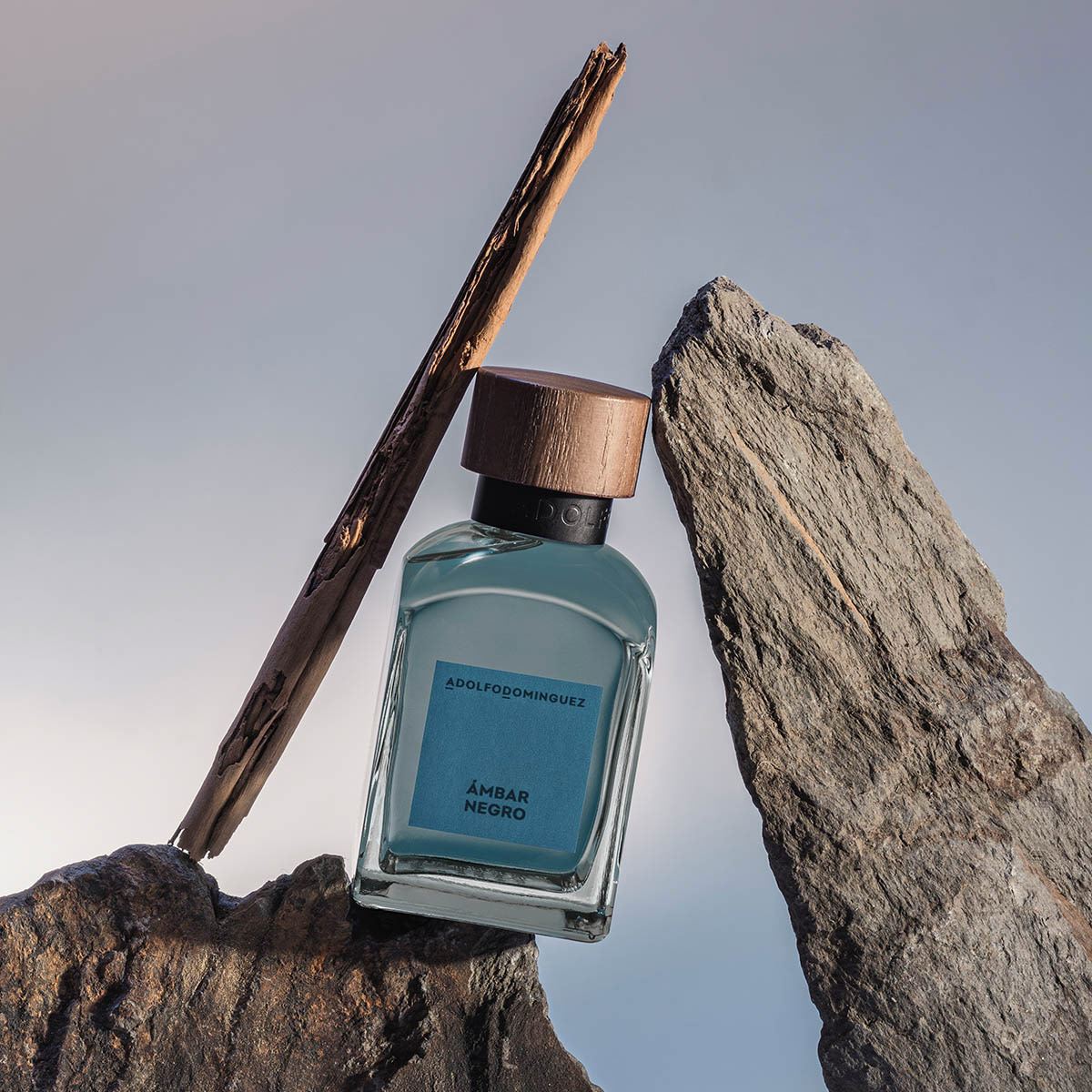 Adolfo dominguez Ambar Negro Eau de Parfume 120ml Perfume para Caballero