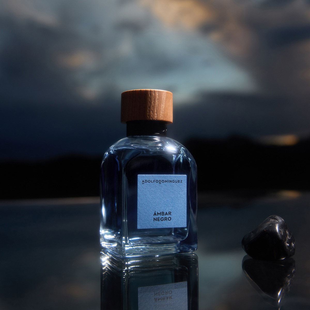 Adolfo dominguez Ambar Negro Eau de Parfume 120ml Perfume para Caballero